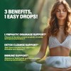 Cleavers Lymphatic Drainage Drops - Cleavers Herb Extract Tincture for