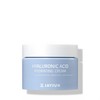 JAYJUN 히알루론산 하이드레이팅 크림 50g JAYJUN Hyaluronic Acid Hydrating Cream 50g