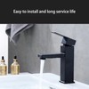 Basin Faucet Stainless Steel Surface Black Baking Paint Bathroom Sink