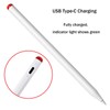 Active Stylus Pen Only Compatible with BOOX Palma 2 Pro,Go