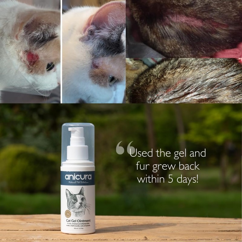 Anicura Cat Skin Ointment – soothes dry, itchy skin, hot