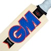 Gunn & Moore GM, RADON, Cricket Bat, DXM, TOETEK Technologies,