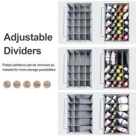 TOPIA HOME Shoe Organizer for Closet 2 Pack, Foldable Shoe Box with Adjustable Dividers and Clear Cover, Space Saving Shoe Storage Organizer Cabinet with Reinforced Handles, Fits 40 Pairs, Gray, TP11G