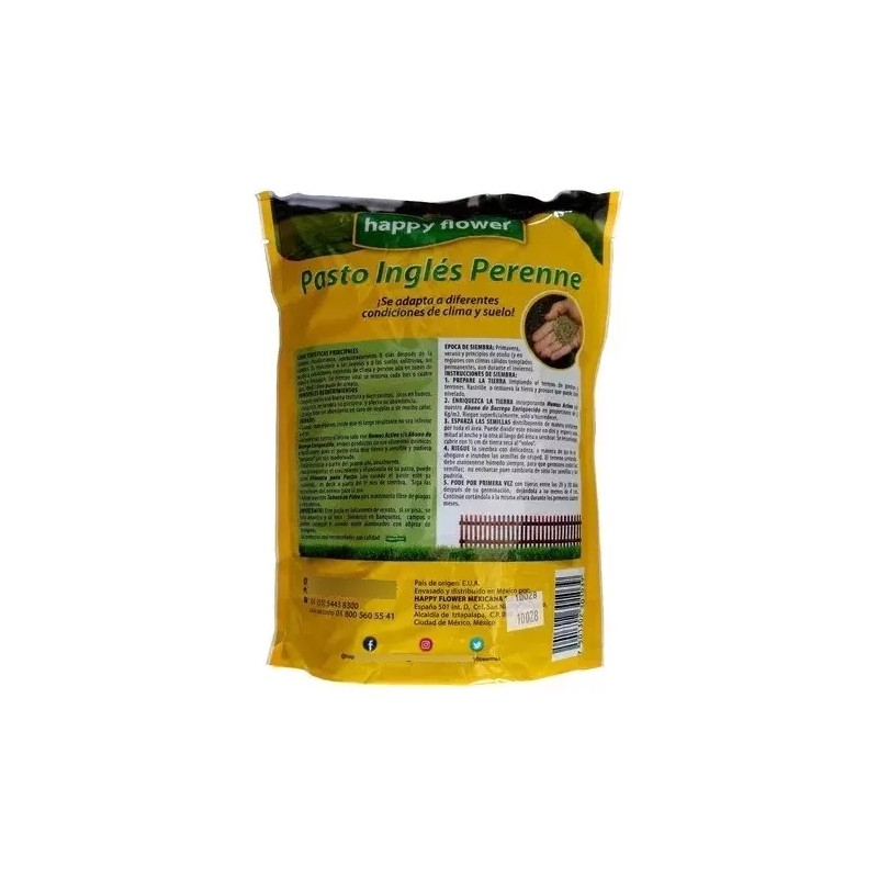 HAPPY FLOWER 3 Bolsas Semilla Pasto Ingles Para Sol Y