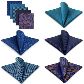 Shlax&Wing Pack of 5 Assorted Handkerchiefs for Men - Square - One Size - SET25