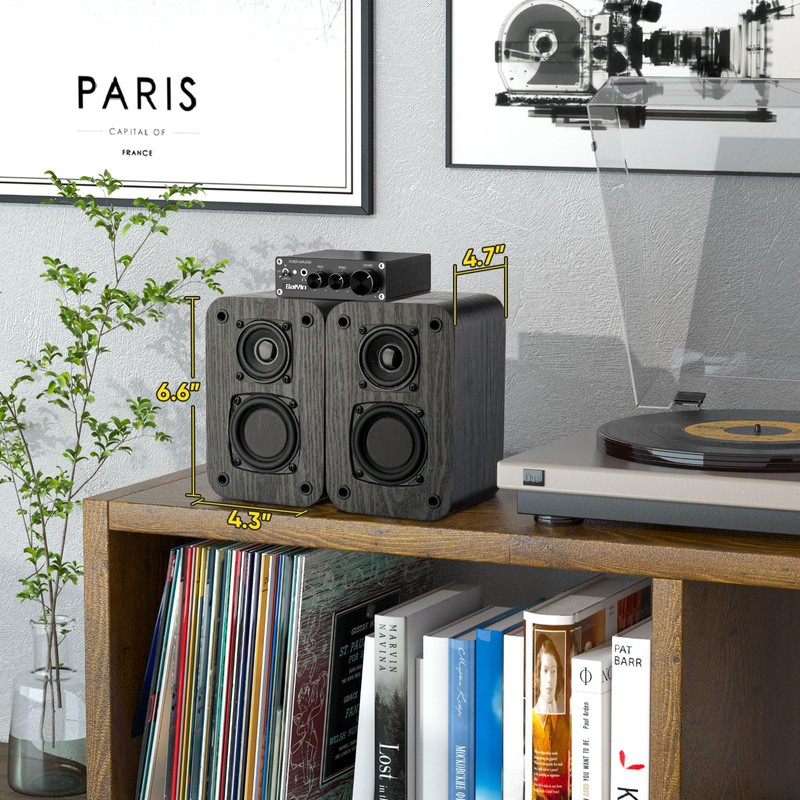 RIOWOIS Passive Bookshelf Speakers for Home Theater Surround Sound, Home