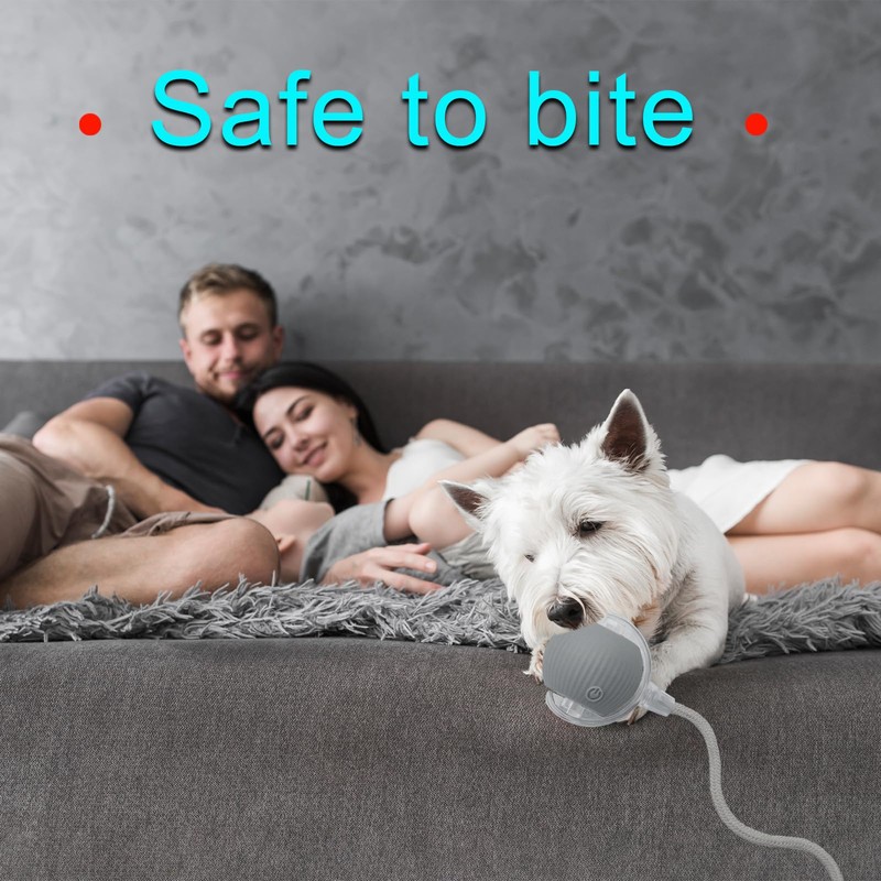 Interactive Cat Dog Toy Ball: Indoor Small Automatic Moving Smart