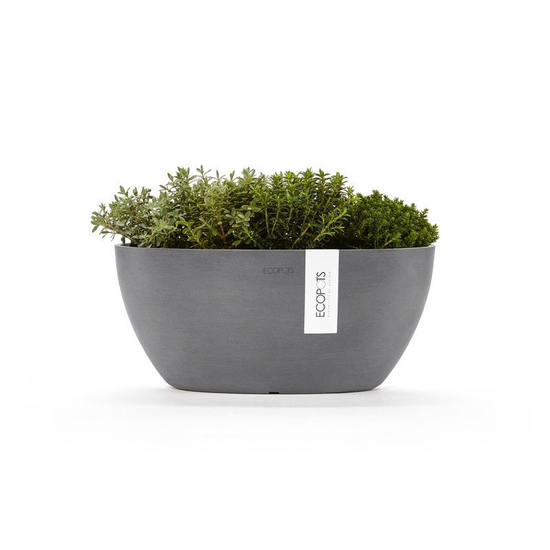 Sofia Flower Pot Collection - Designer Planter for Small Spaces