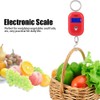 Electronic Digital Scale Portable Mini Pocket Key Chain Scale Kitchen