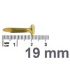 Kathay Box of 30 Gold Metal Folders 19mm Ideal for