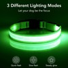 VIZPET Vizpet LED Dog Collar, Light Up Dog Collar Adjustable