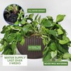 Dexceder 13.5 Inch Large Self Watering Hanging Planters Indoor Outdoor,