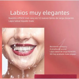 12 Labiales Mate Set Pintalabio Gloss Indeleble Imperméable                                                                                           