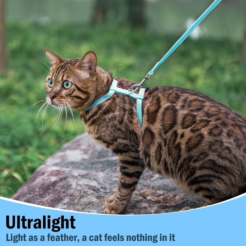 PUPTECK Adjustable Cat Harness and Leash Set Escape Proof Kitten