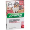 Advantage 250 mg Lösung zum Auftropfen bei Hunden, 4 pcs.