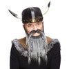 Mustaches Self Adhesive, Novelty, Viking Dwarf Fake Beard, False Facial