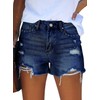 Pink Queen Trendy Ripped Jean Shorts for Women Mid Rise