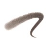 INTEGRATE GRACY Chip On Powder Eyebrow