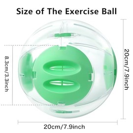 Bola de Ejercicio para hámster, Bola de 20 cm para hámster Sirio, Transparente, Bola Grande con Cuatro entradas (Verde)