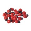 Adhesive Wooden Ladybugs (50Pc) - Crafts for Kids and Fun