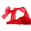 Victoria's Secret Padded Dream Angels Balconet Bra (32C, Red Bow)