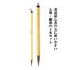 Shunkoen SPFH-800 Calligraphy Brushes, First Time Bush Brush, Thick, Set