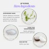 Wonderskin 3-in-1 Lip Exfoliating Scrub and Moisturising Cream, Lip Scrub,