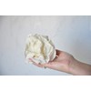 Cotton Collection Exfoliating Loofah, Deep Clean for Skin, Easy to
