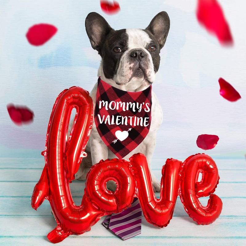 STMK 2 Pack Valentines Dog Bandanas, Dog Valentines Bandana for