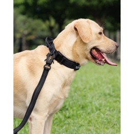 Joytale Tactical Dog Collar with Handle, Heavy Duty Military Dog Collar with 2 Patches for Training, Adjustable Tactical Collars for XLarge Dogs, Black, XL