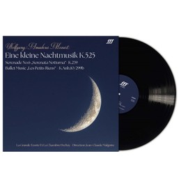 Mozart: Eine Kleine Nachtmusik K525 (Vinyl)