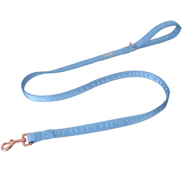 Lionet Paws Dog Leash - Silk Blue Leash for Small