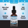 Balanced Pet Collagen for Dogs - Skin and Coat for