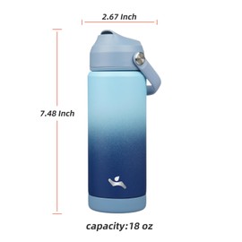 Konokyo Insulated Water Bottle with Straw Lid,18 oz Stainless Steel Vacuum Metal Bottle with Silicone Handle,Sky