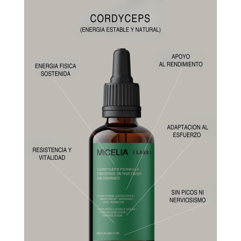 Extracto de Cordyceps Micelia Labs Energía natural Vitalidad y resistencia