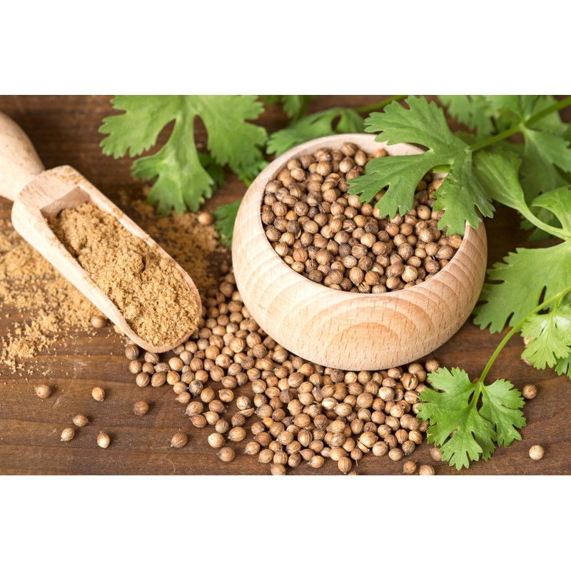Coriander Seeds, 16 Oz, 100% Certified Organic, Raw, Non-GMO, Non-Irradiated