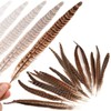 MWOOT Pack of 20 Pheasant Feathers, 25-30 cm / 10-12