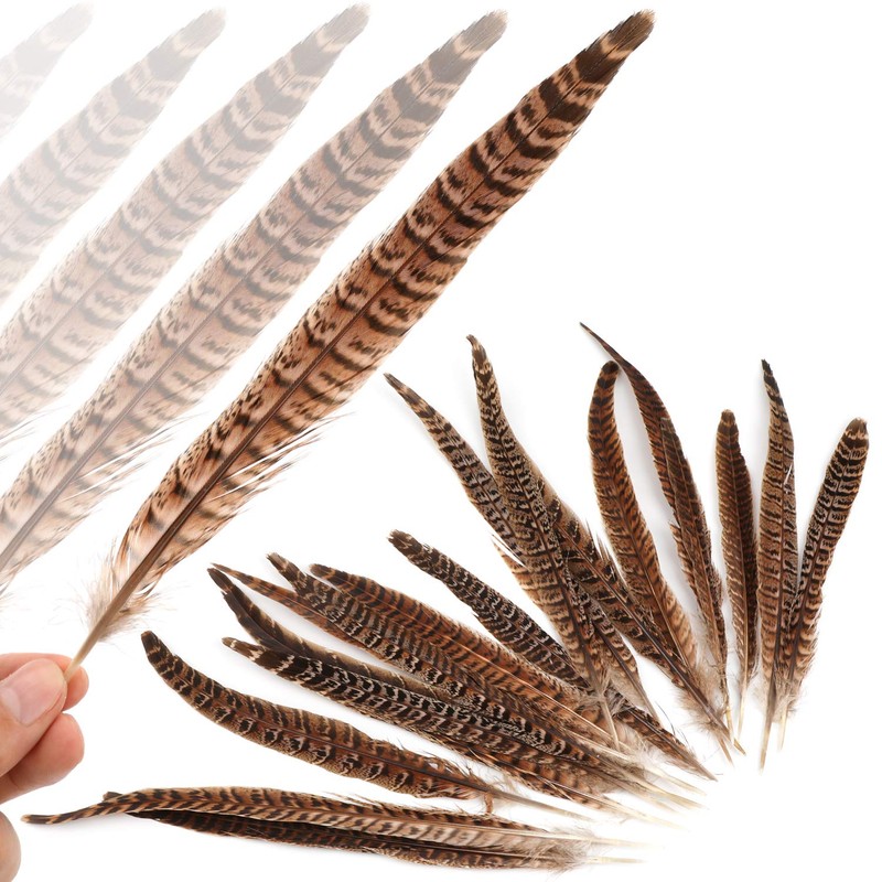 MWOOT Pack of 20 Pheasant Feathers, 25-30 cm / 10-12