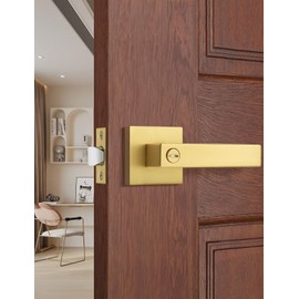 Tinewa 1 Pack Brushed Gold Door Handle Interior Privacy Door Lock, Bed and Bath Door Lock with Square Rose Modern Keyless Door Lock Handle Reversible for Left & Right