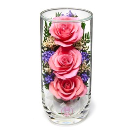 In Flores Veritas | Fresh Cut Preserved Roses in a Sealed Glass Vase | Long Lasting Bouquet Stays Fresh for 5+ Years | No Water Needed | Allergy Free | Unique Present Gift (Grace Pink)