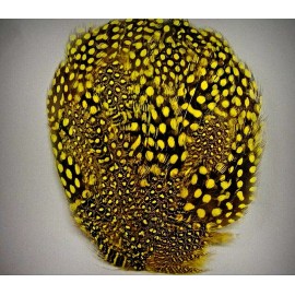 The Fabulous Feather Store Dyed Yellow Spotted Guinea Hen Pheasant Feather Pad