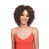 Bobbi Boss African Roots Crochet Braid - 2X WATER CURL