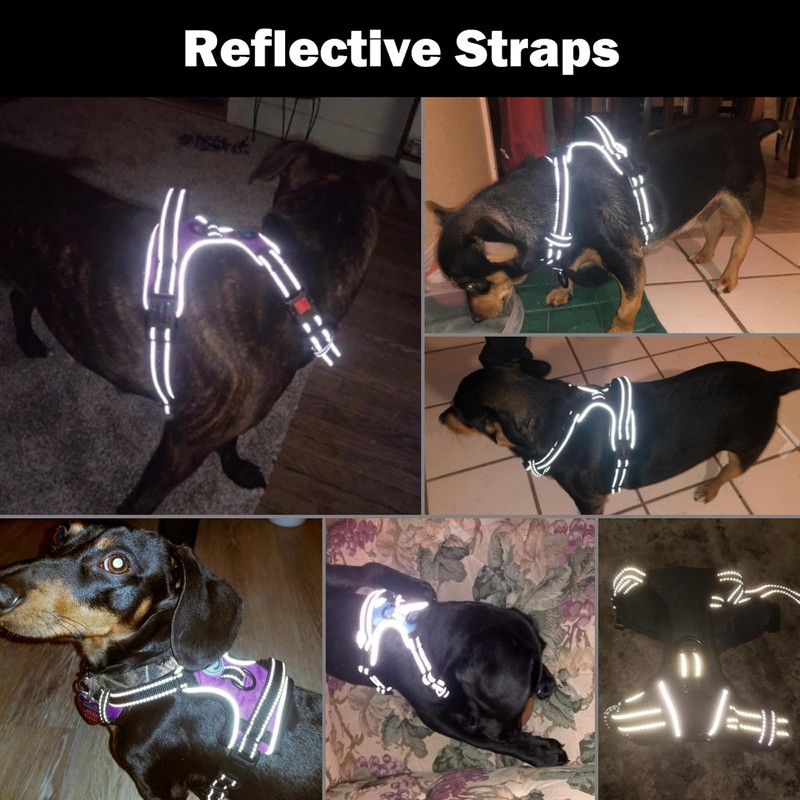 PHOEPET No Pull Dog Harness Medium Reflective Front Clip Vest
