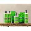 Urtekram Shampoo - Aloe Vera - Normales Haar - 250