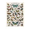 Cavallini Decorative Paper - Nos Bons Papillons 20"x28" Sheet
