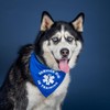 Service Dog in Training Dog Bandana (Navy, OS 289)
