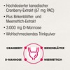 Dr. Böhm Cranberry Plus, Pack of 10: for Bladder, Mucous