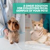 Fecal Diagnostic Kit for Pets, 50 Pack, Sanitary Collection Device,
