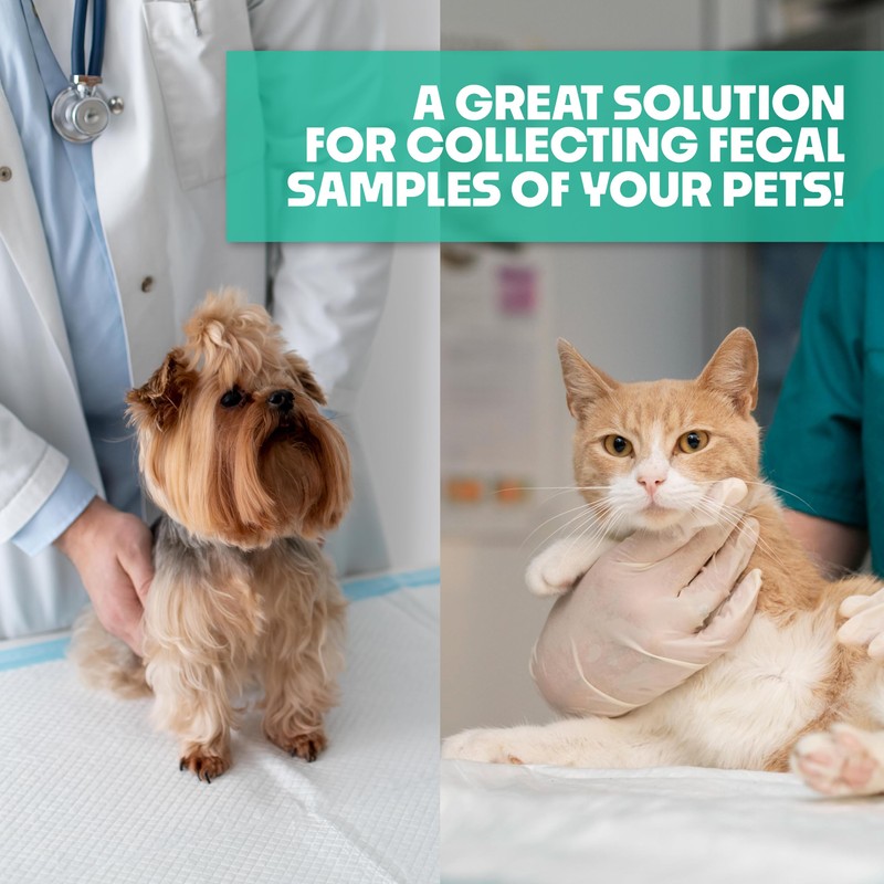 Fecal Diagnostic Kit for Pets, 50 Pack, Sanitary Collection Device,