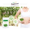 Seedcoms Broccoli Sprout Supplement, Sulforaphane Formula, Approximately 6 Months, 360